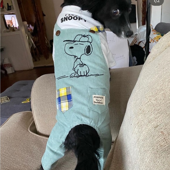 Snoopy overalls - Picture 4 of 5